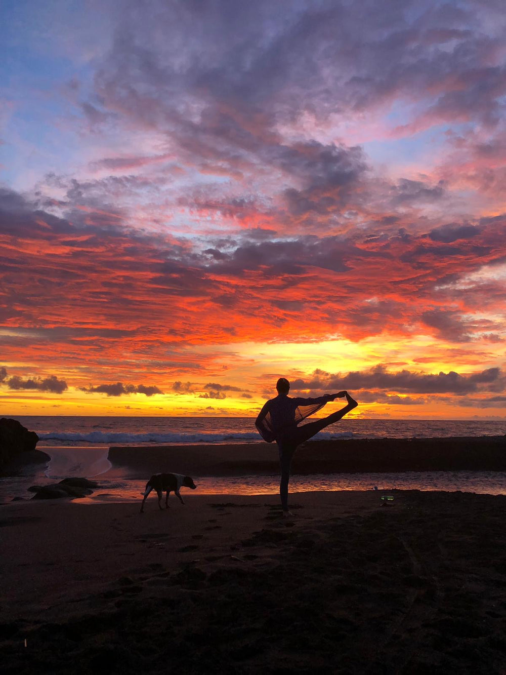 A silhouetted person practices yoga on a beach at sunset during a Bali Retreat, with a dog nearby and dramatic orange, pink, and purple clouds filling the sky.
